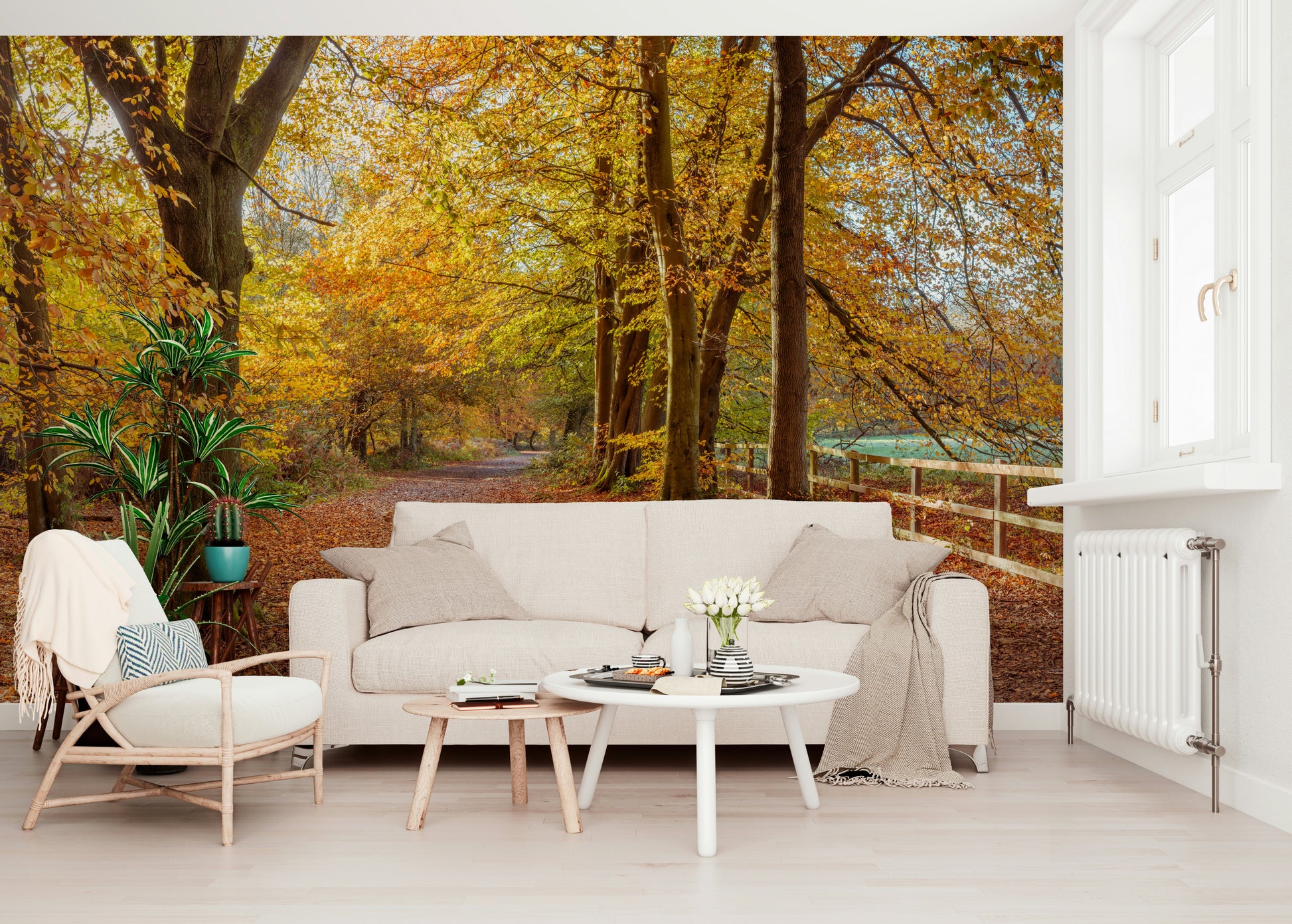 Golden canopy Pathway Covered in Fall Leaves Wall Mural landscape.