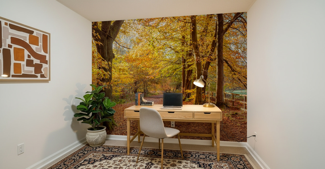 Scenic autumn Pathway Covered in Fall Leaves Wall Mural.