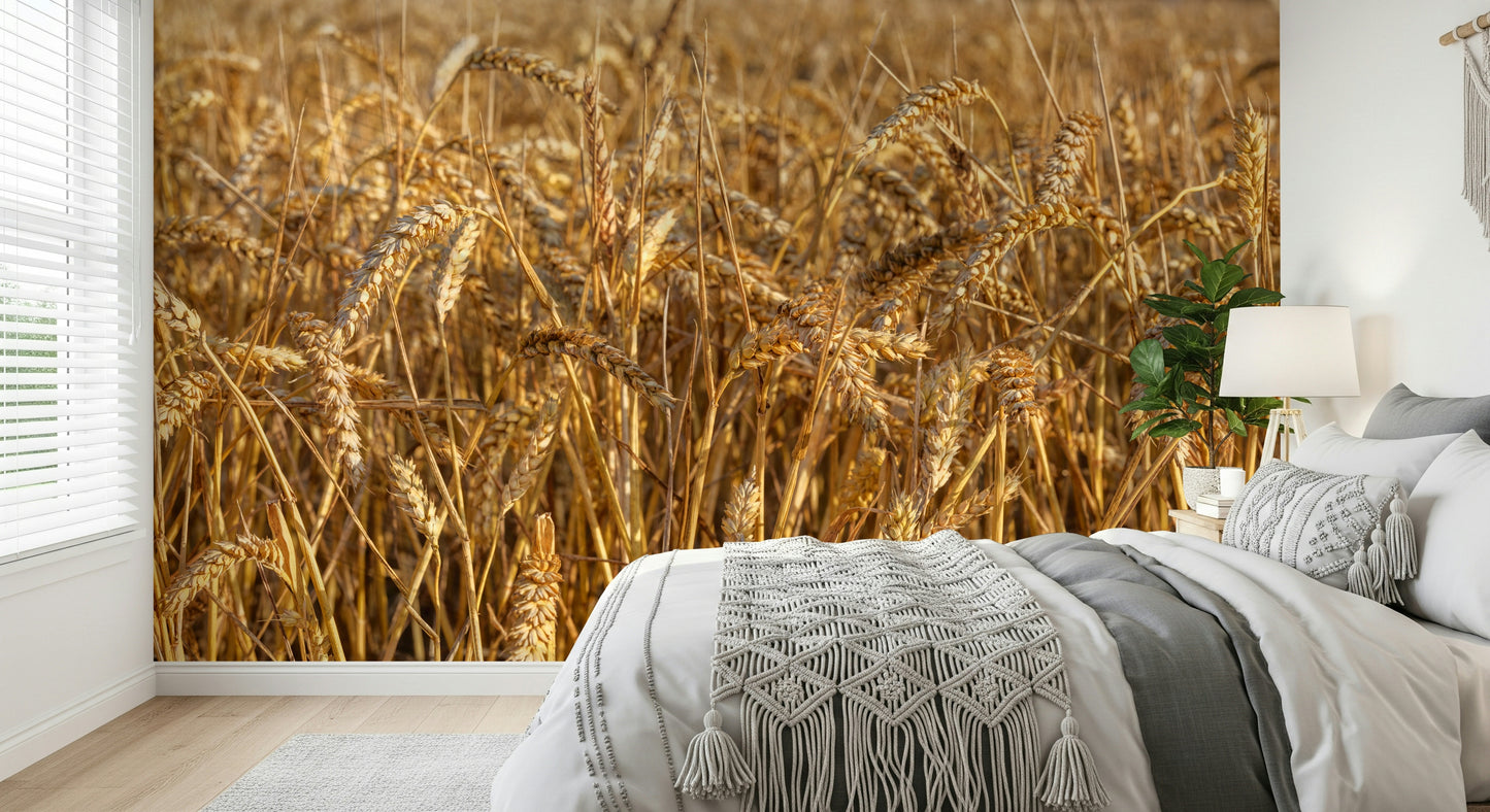 Realistic nature scene Golden Wheat Field Bliss Wall Mural