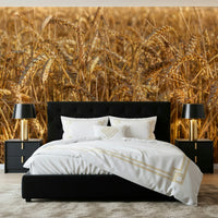 Sunlit grain harvest Golden Wheat Field Bliss Wall Mural