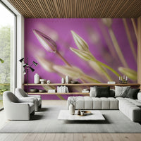 Ethereal light on Alliums, designer wallpaper unique aesthetic.