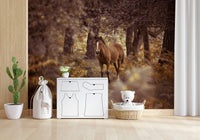 Magnificent Wild Horse trotter, scenic wall art, wilderness escape.
