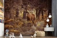 Wild Horse wilderness wanderer, stunning wall poster, brown coat.