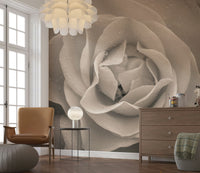 Lush botanical Sepia Rose Wall Mural displaying natural petal curvature and depth.