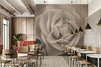Timeless Sepia Rose Wall Mural capturing the essence of a morning garden.
