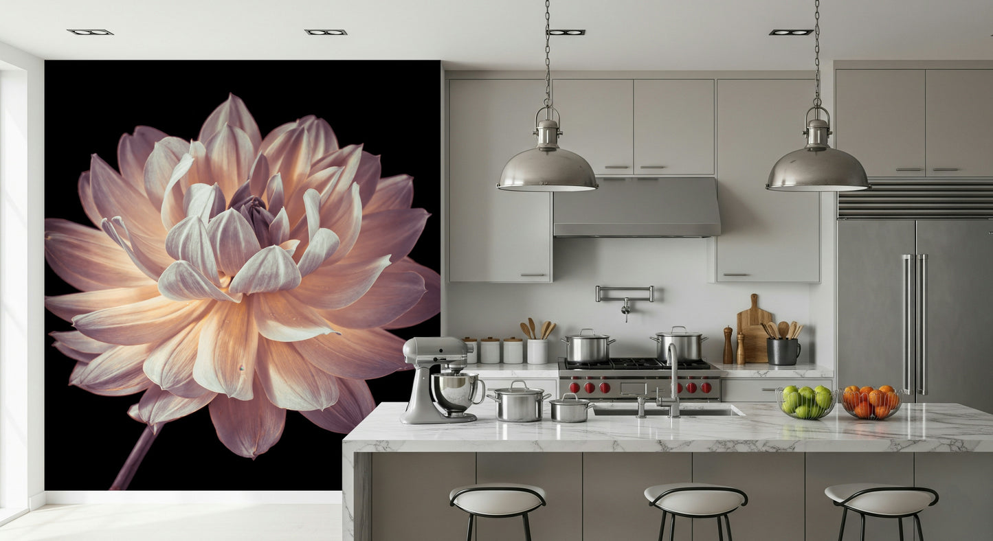 Dramatic botanical close up Blooming Dahlia Wall Mural elegant living room.