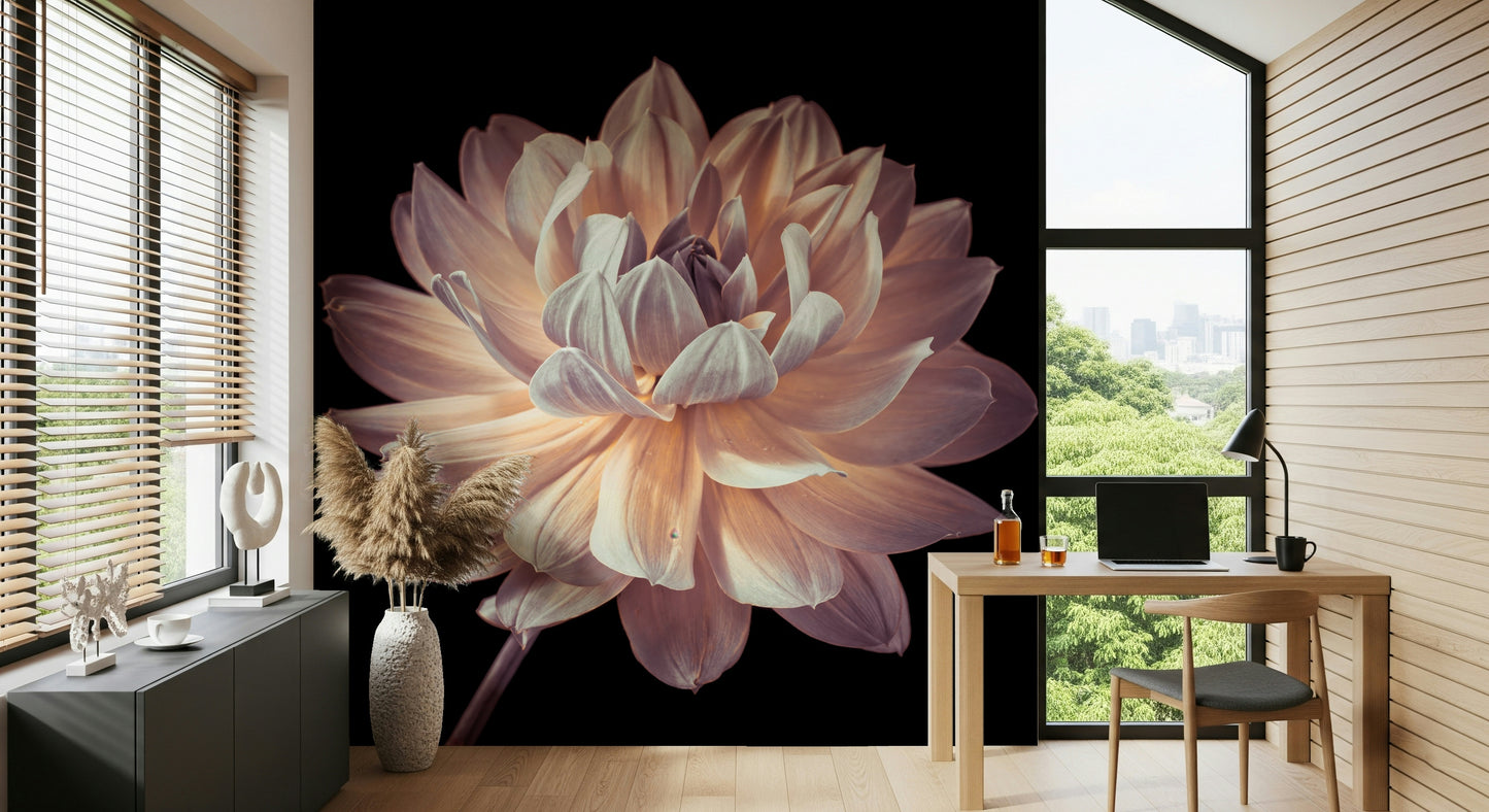 Classic beauty of nature Blooming Dahlia Wall Mural timeless interior.