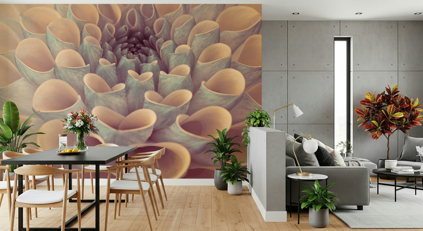 Modern botanical abstraction aesthetics on Dahlia Petals Wall Mural creative accent.