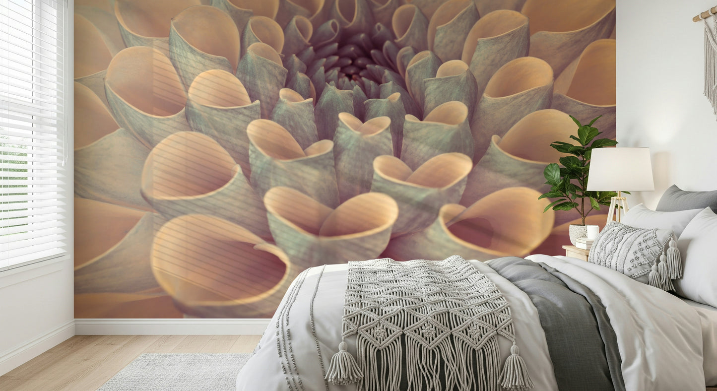 Abstract nature close up view on Dahlia Petals Wall Mural large scale.