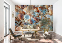 Close-up Coastal Shellscape Wall Mural, beautiful beach shells.