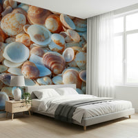 Brown and white shells Coastal Shellscape Wall Mural wall art.