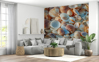 Seaside treasure trove Coastal Shellscape gorgeous large-format wallpaper.