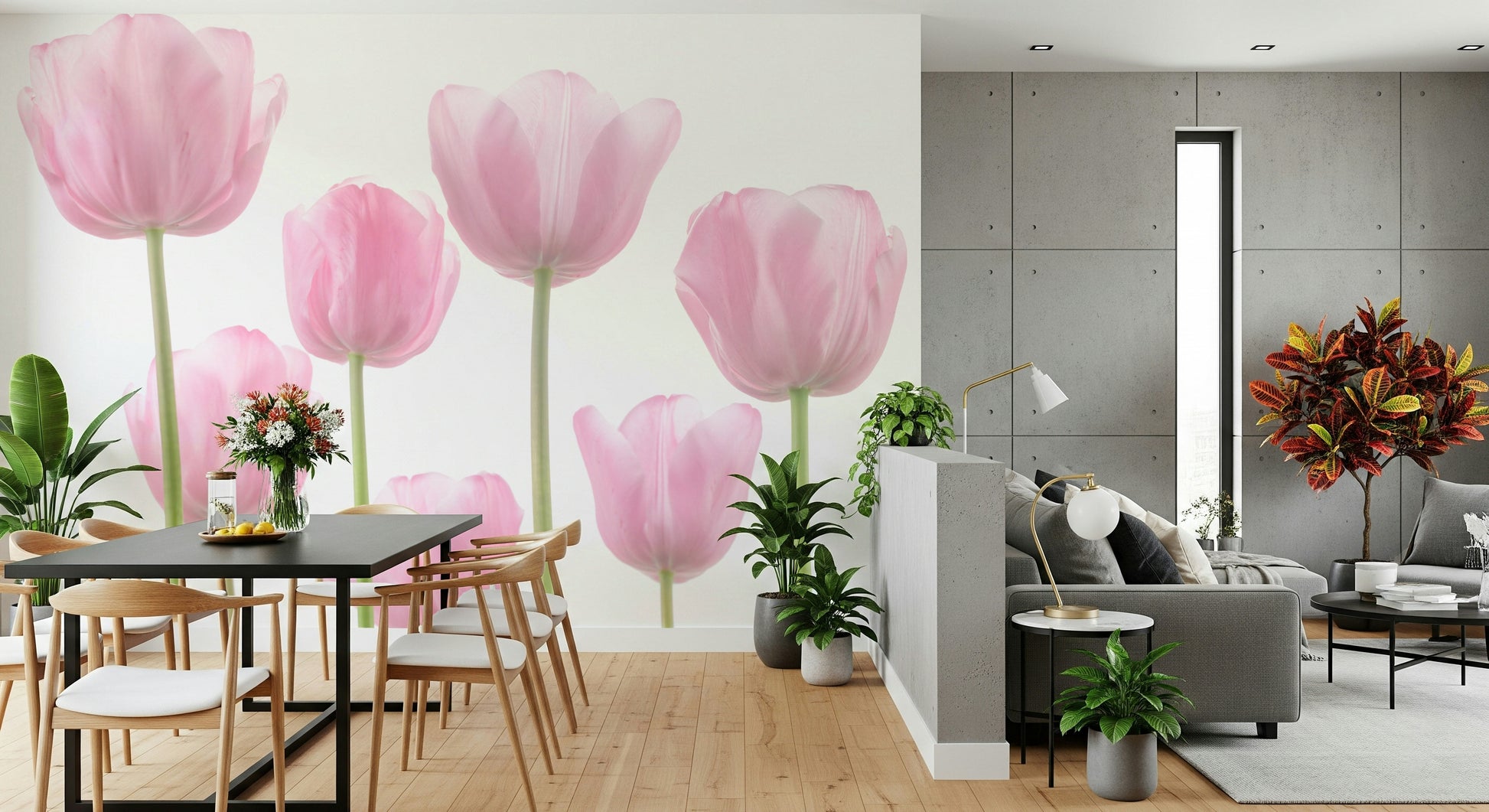 Soft pink tulip blossoms, stunning simple floral wallpaper focus.