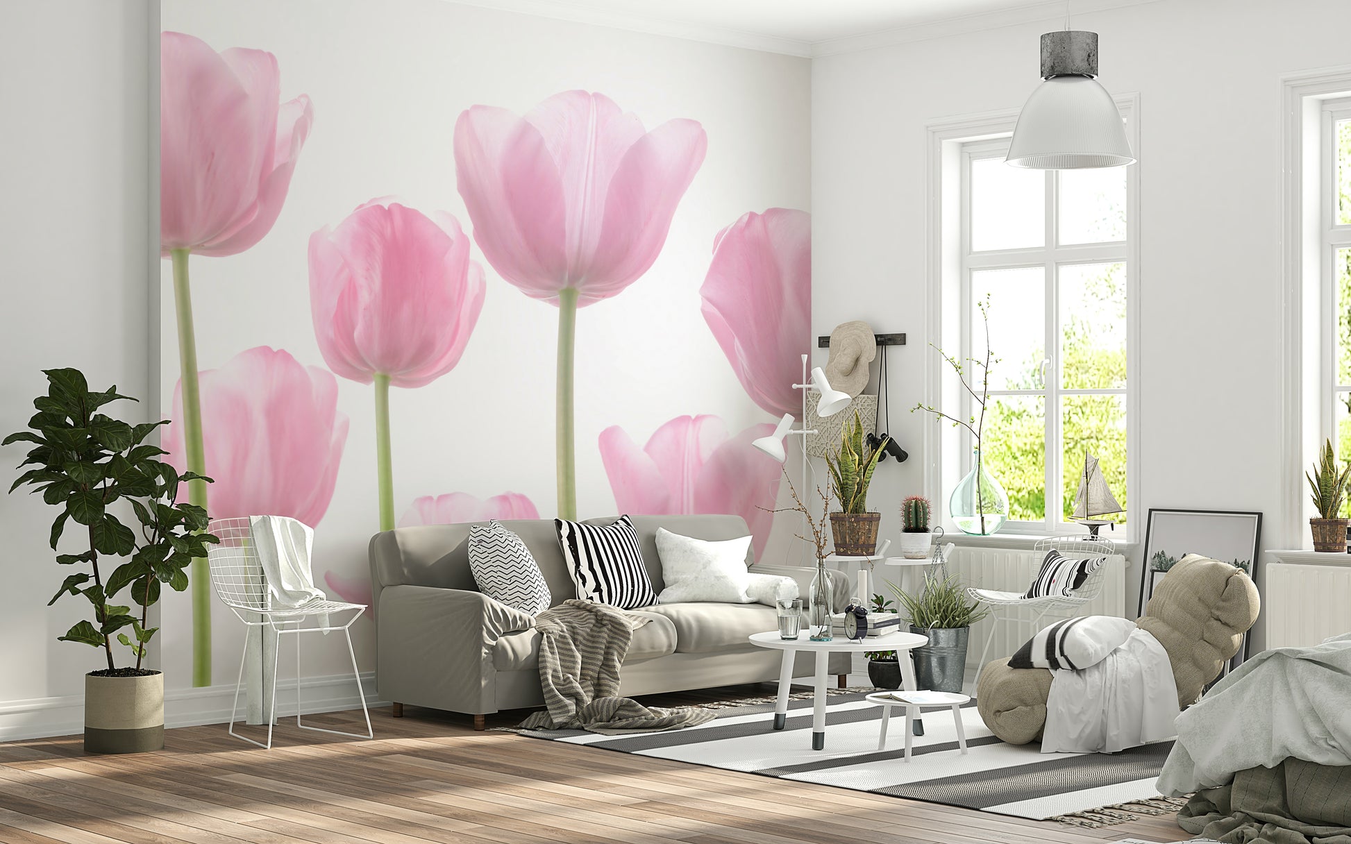Soft pink tulips, white background, elegant Tulip Bulbs Wall Mural.
