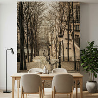 Cobblestone path Montmartre stairs Wall Mural, unique wallcovering art.