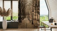 Tree-lined French steps Montmartre stairs peel and stick wallpaper.