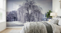 Ethereal frozen landscape Winter Weeping Tree Wall Mural, scenic wall art.