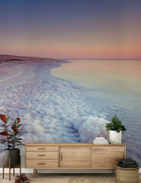 Serene Dead Sea environment with striking white salt formations.