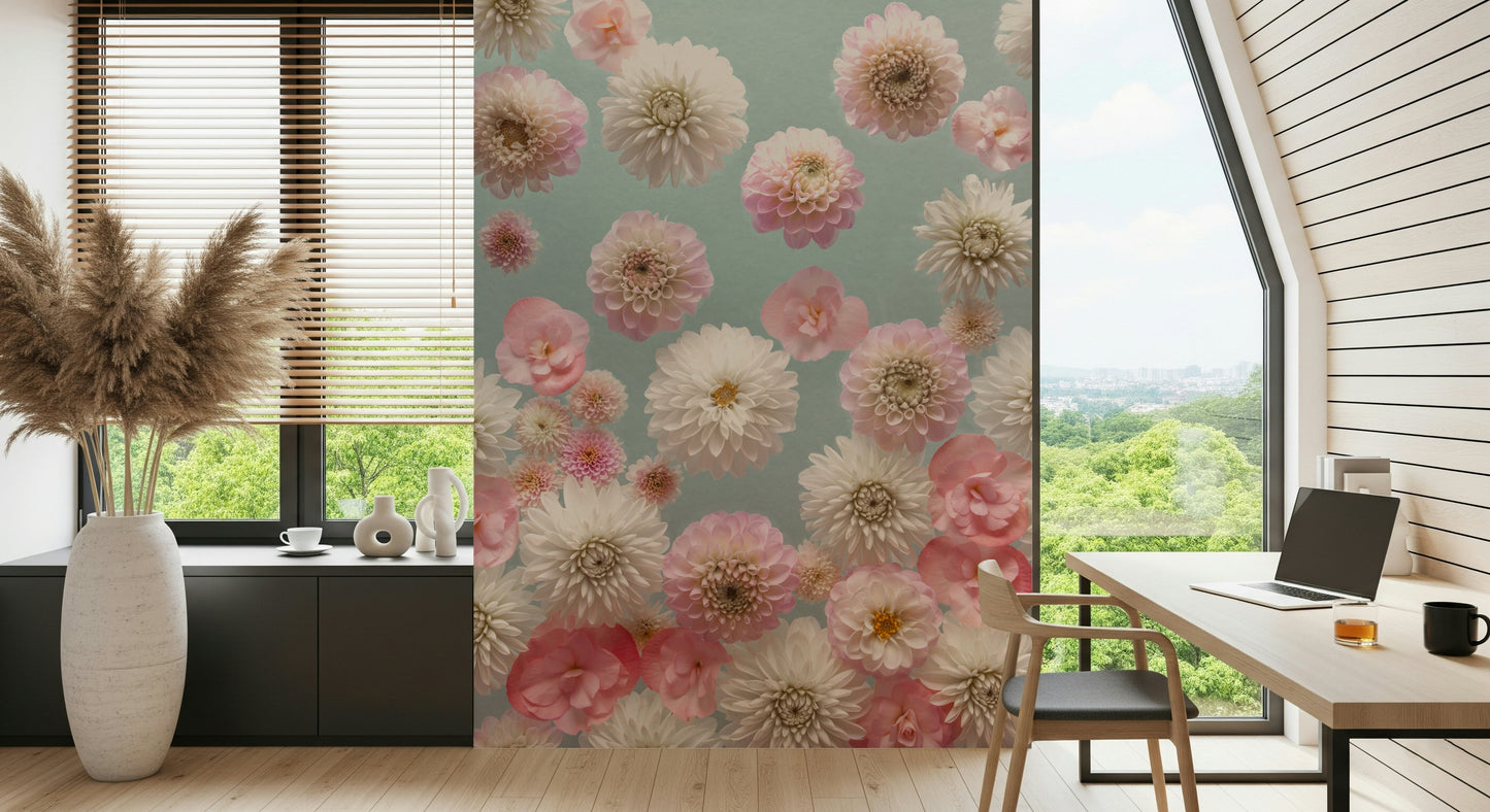 Vibrant white and pink dahlia heads, garden inspired wall mural.