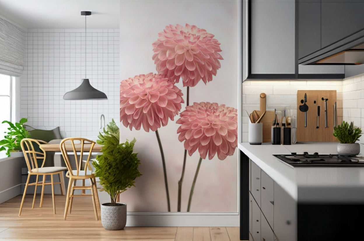 Beautiful dahlia wallpaper, showcasing soft petal layers.