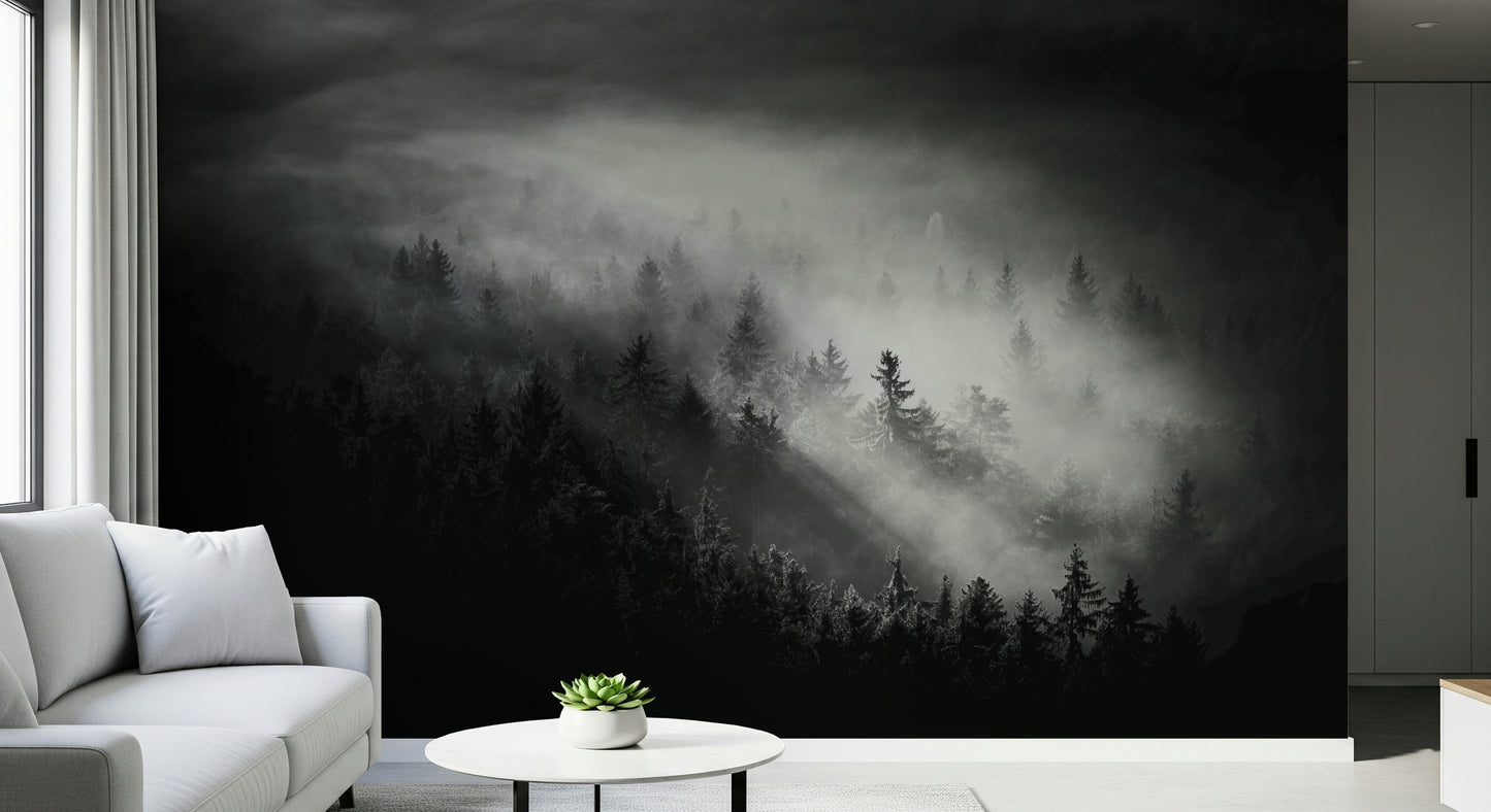 Shadowy dense timberland view Foggy Forest Woodland decorative wall poster.