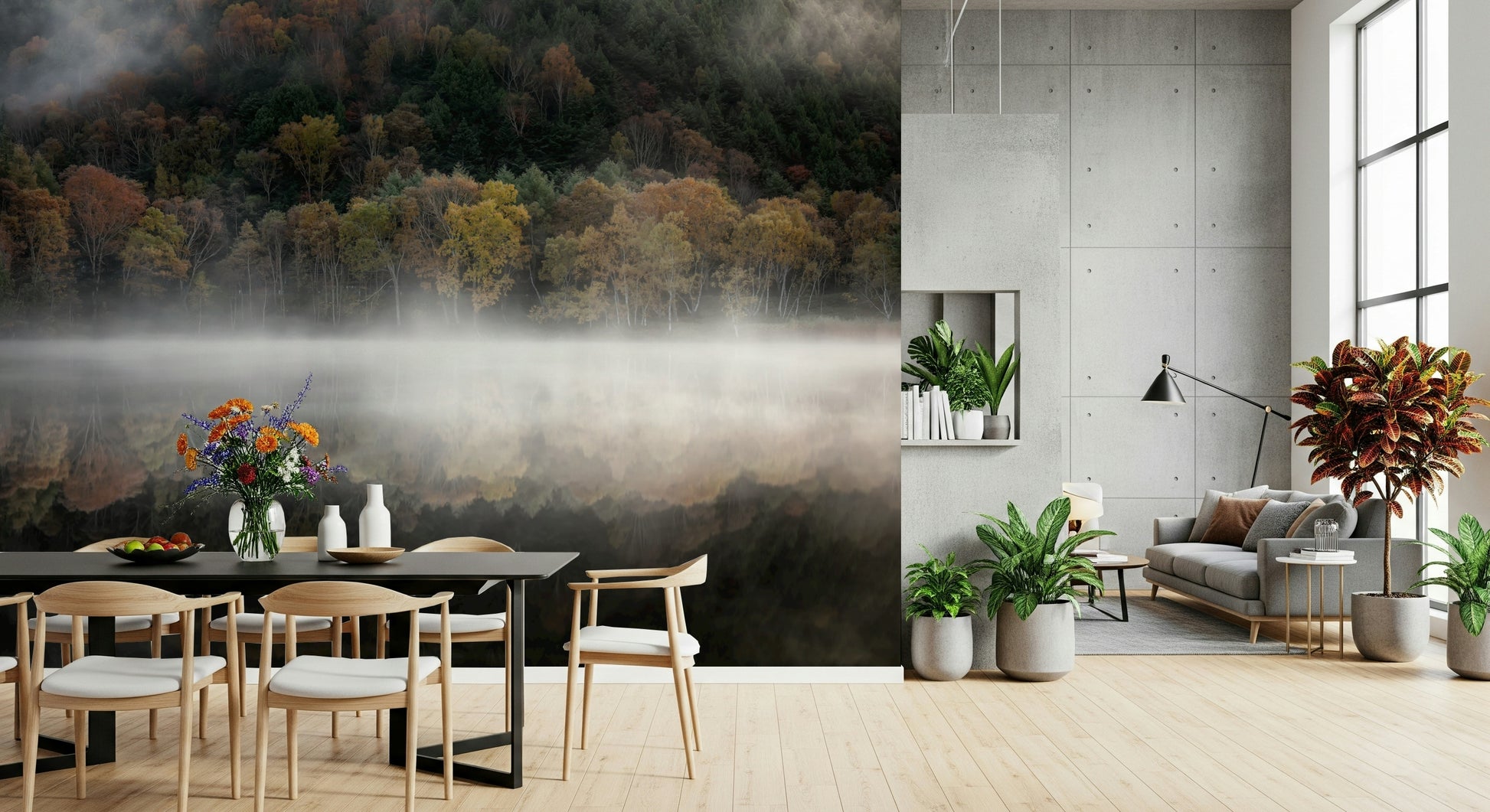 Beautiful seasonal forest image Enchanted Woodland Mist Reflection feature wallpaper.