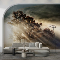 Sunbeam mural, an amazing photograph of glorious, atmospheric fog.