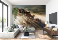 Breathtaking Woodland Glory wall mural for a majestic feature.