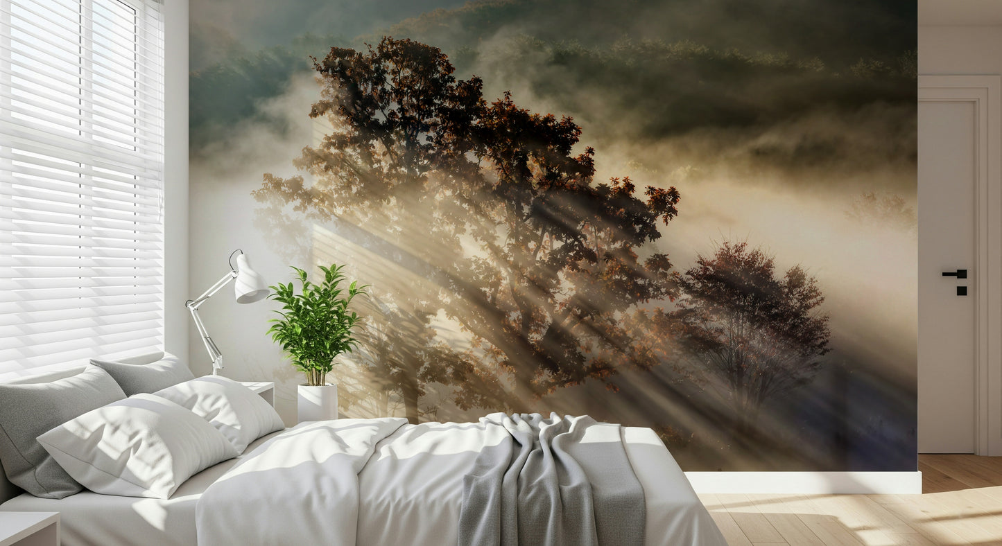 Vibrant Woodland Glory wallpaper showcasing golden light through foliage.