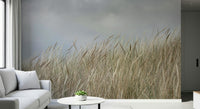 Dune Grass wallpaper, wispy beige stalks against soft cloudy sky.