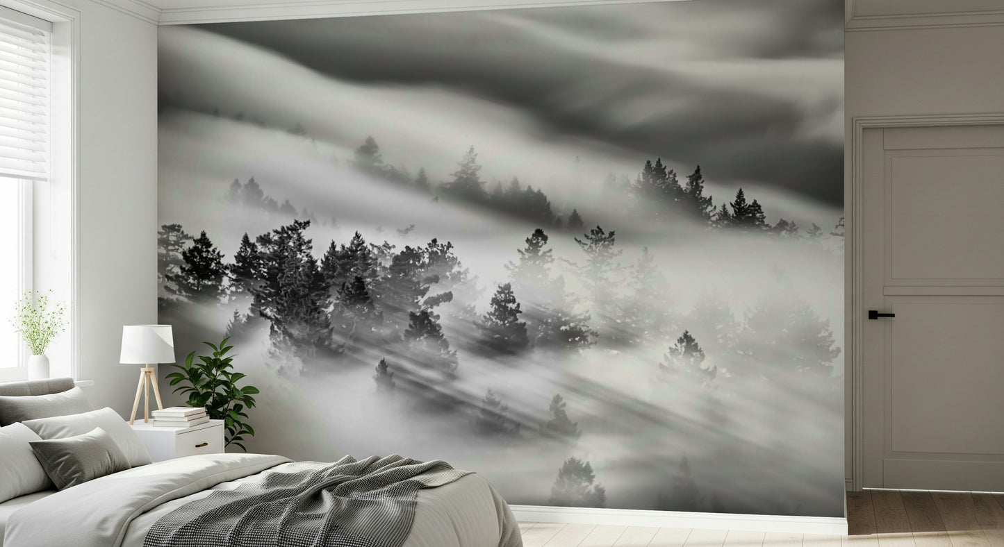 Dramatic Woodland Mist wallpaper, black white landscape, dense woodland, low visibility.