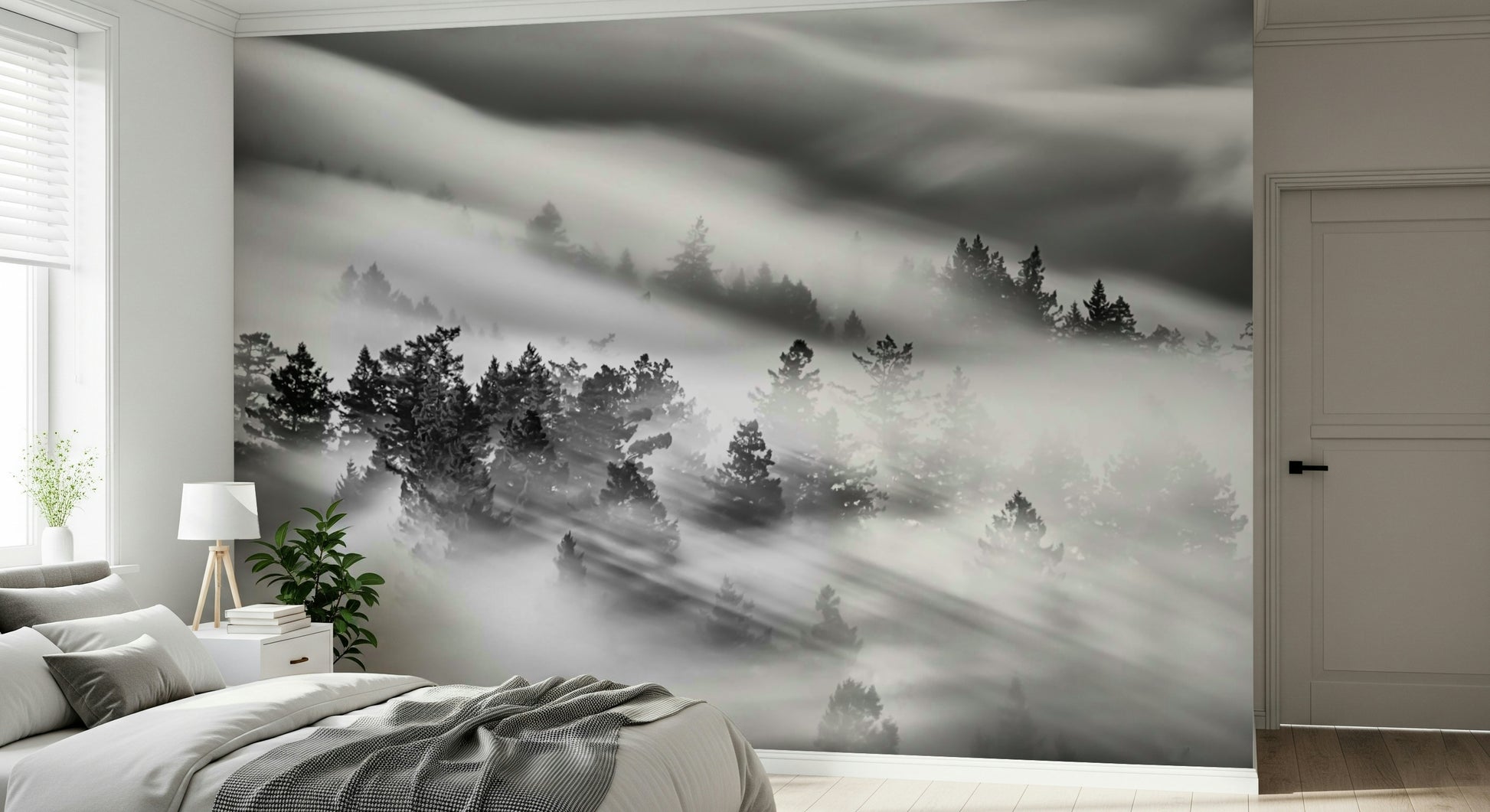 Dramatic Woodland Mist wallpaper, black white landscape, dense woodland, low visibility.