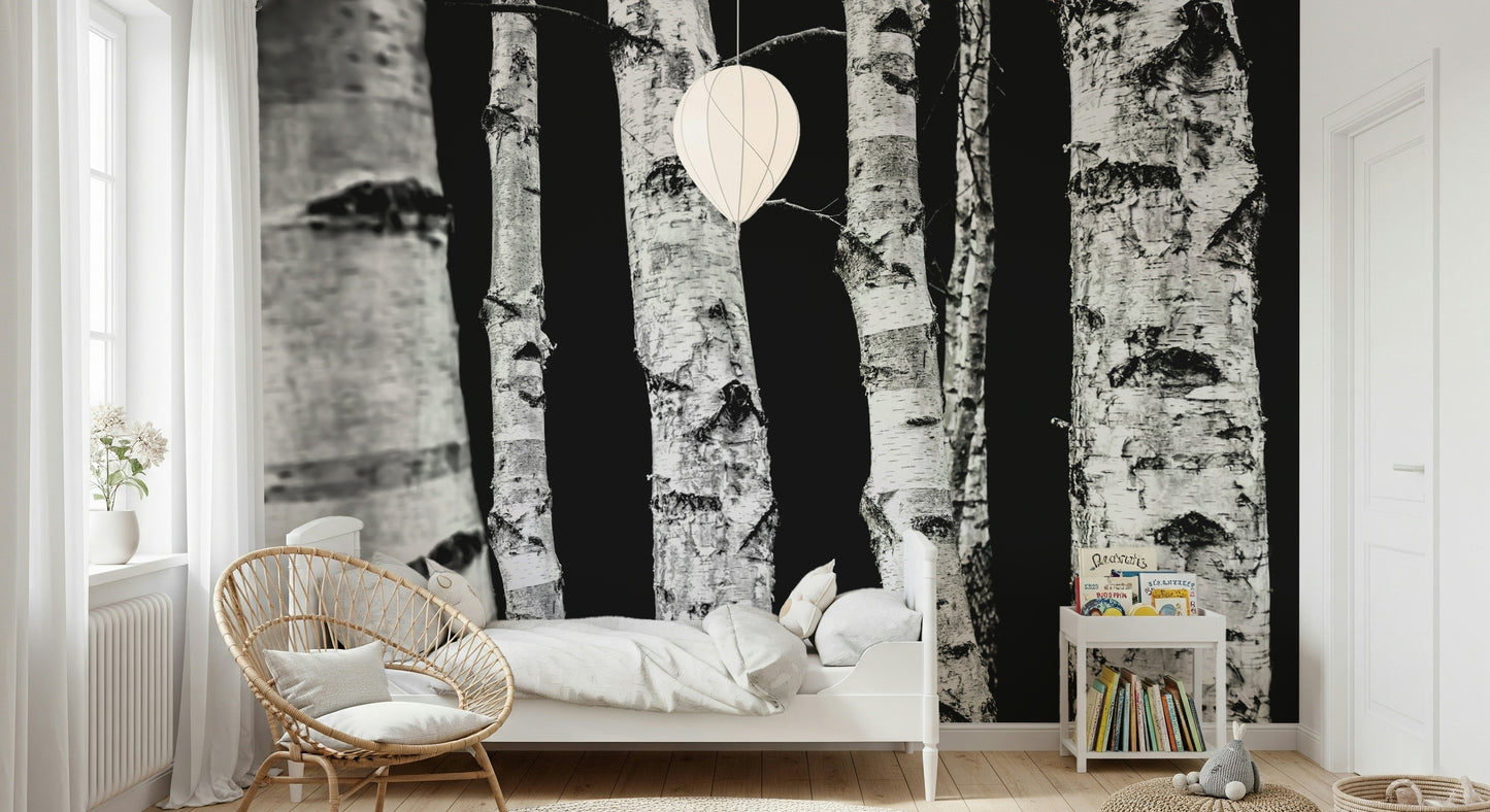 Serene black and white wallpaper, natural Monochrome Woods scene covering.
