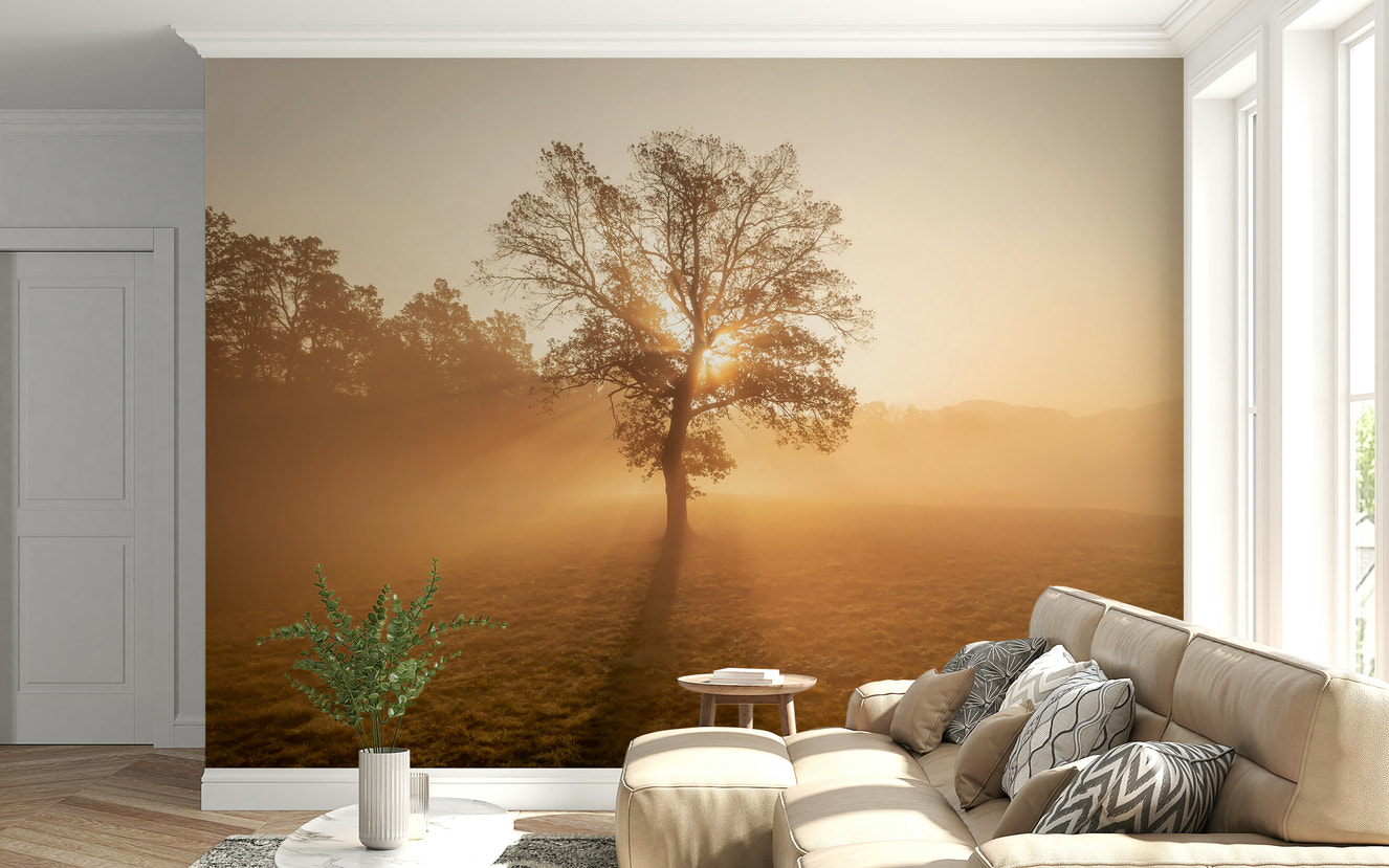 Golden Mist Tree wall mural, sun rays breaking through a misty field.
