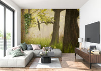 Enchanted lush Forest wall mural peacock perch foggy green.