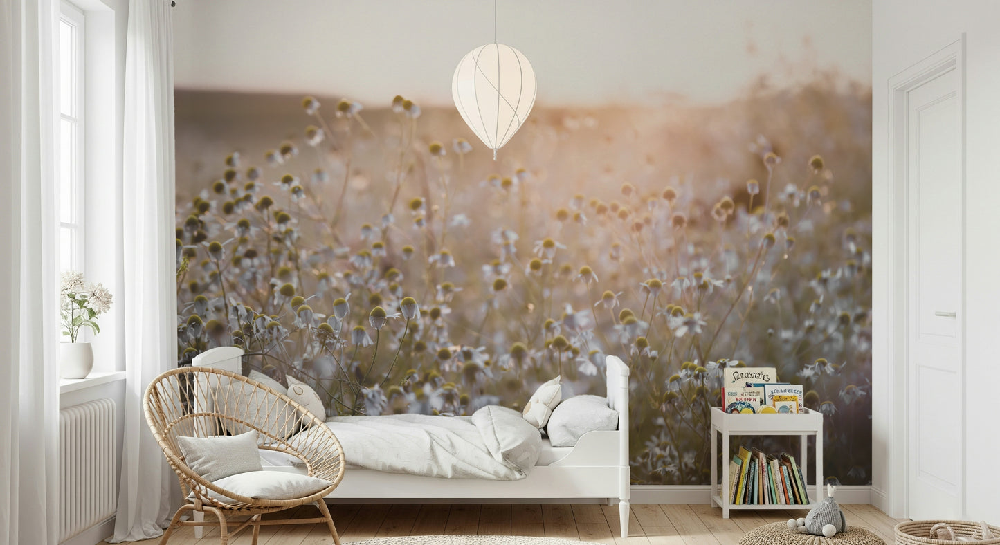 Meadow Bloom Sunset Wall Mural