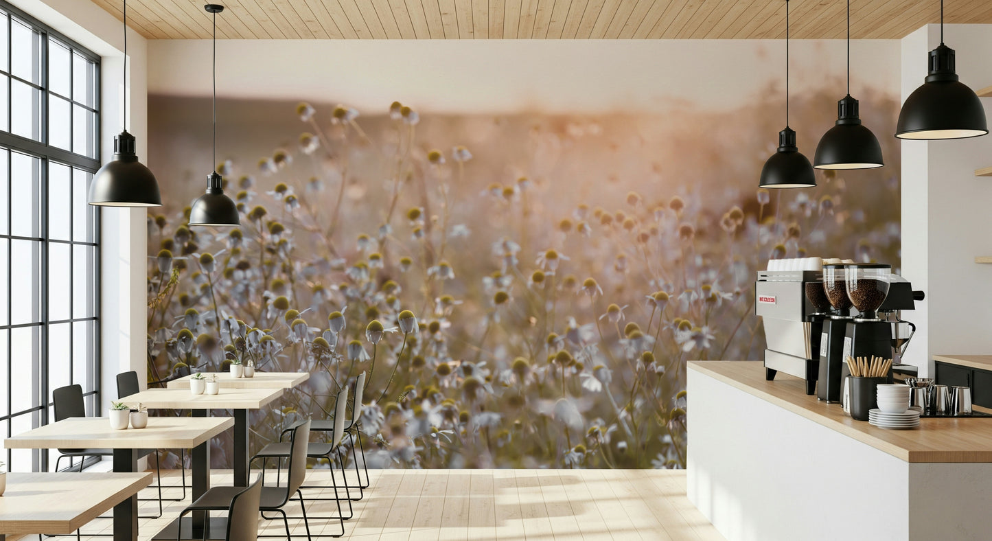 Meadow Bloom Sunset Wall Mural