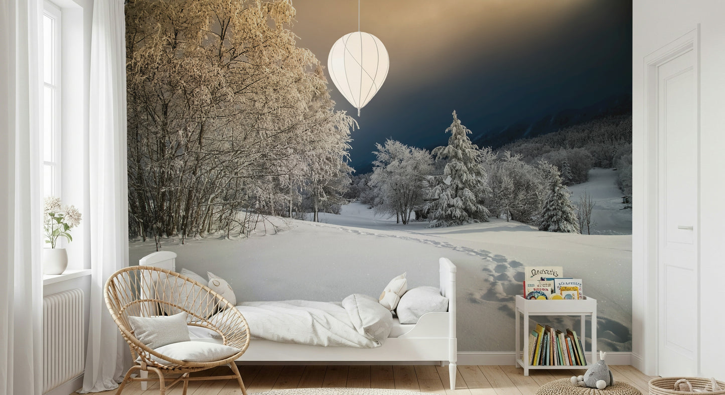 Frozen Footsteps Wall Mural