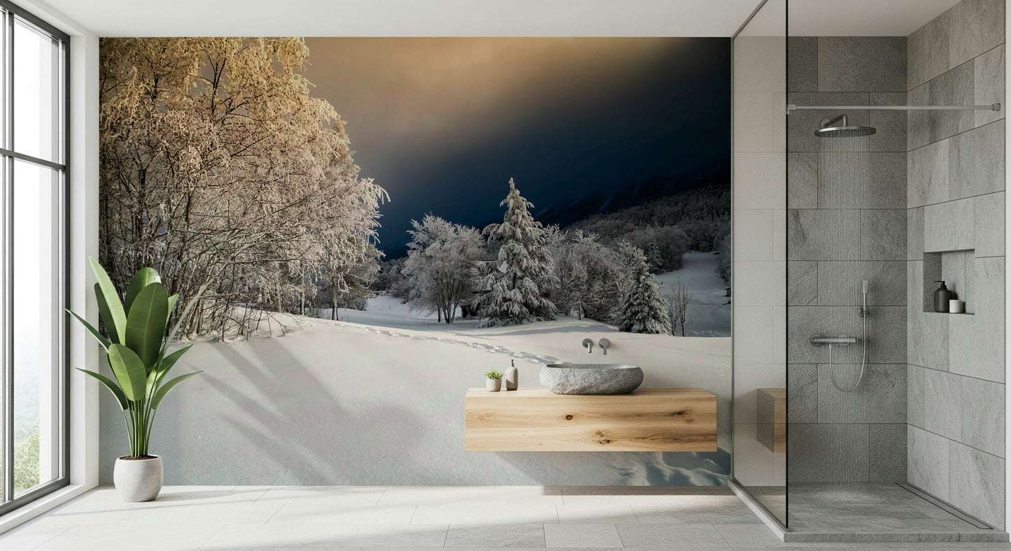 Frozen Footsteps Wall Mural