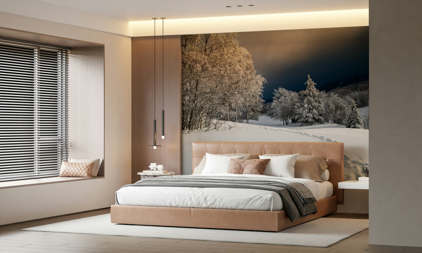 Frozen Footsteps Wall Mural