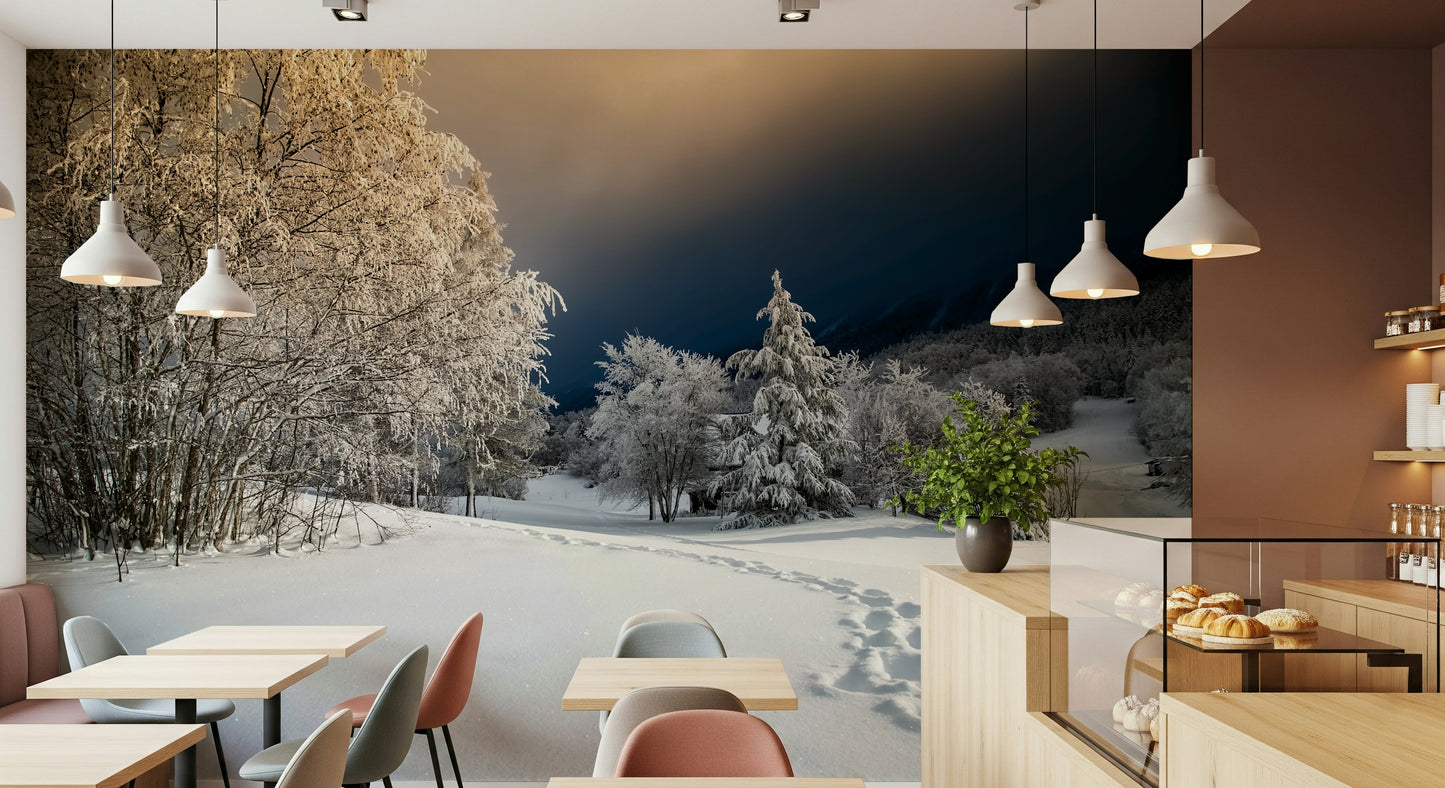 Frozen Footsteps Wall Mural