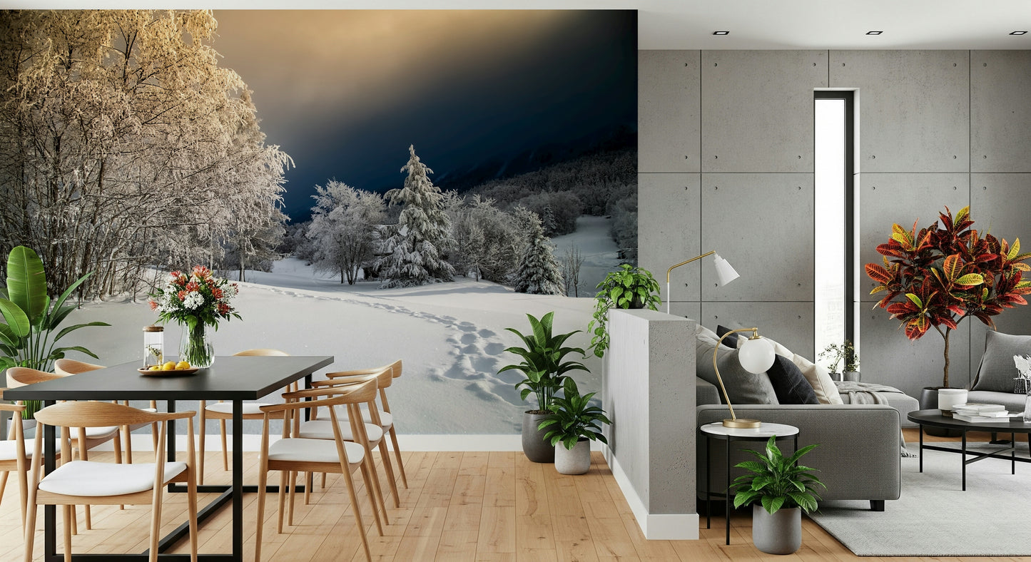 Frozen Footsteps Wall Mural