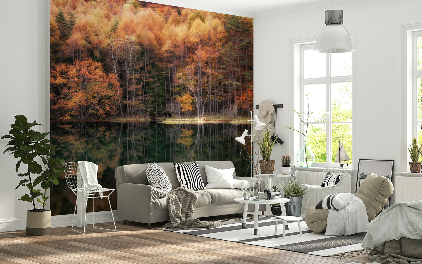 Forest Mirror Wall Mural