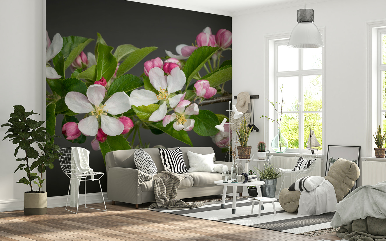 Apple Blossom Charm Wall Mural
