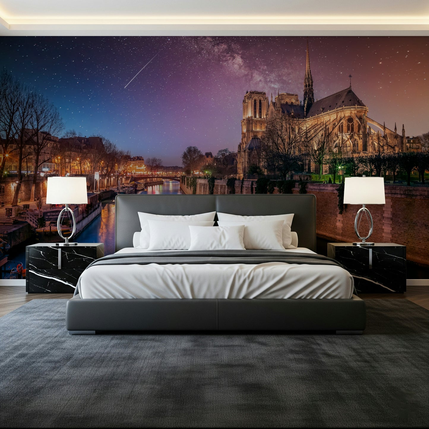 Notre-Dame Starry Night Wall Mural