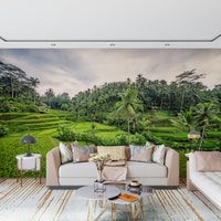 Serene Ubud jungle vista Bali Rice Terraces wall mural.