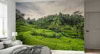 Vibrant rainforest foliage Bali Rice Terraces wall mural.
