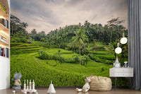 Bali Rice Terraces emerald valley wallpaper for walls.