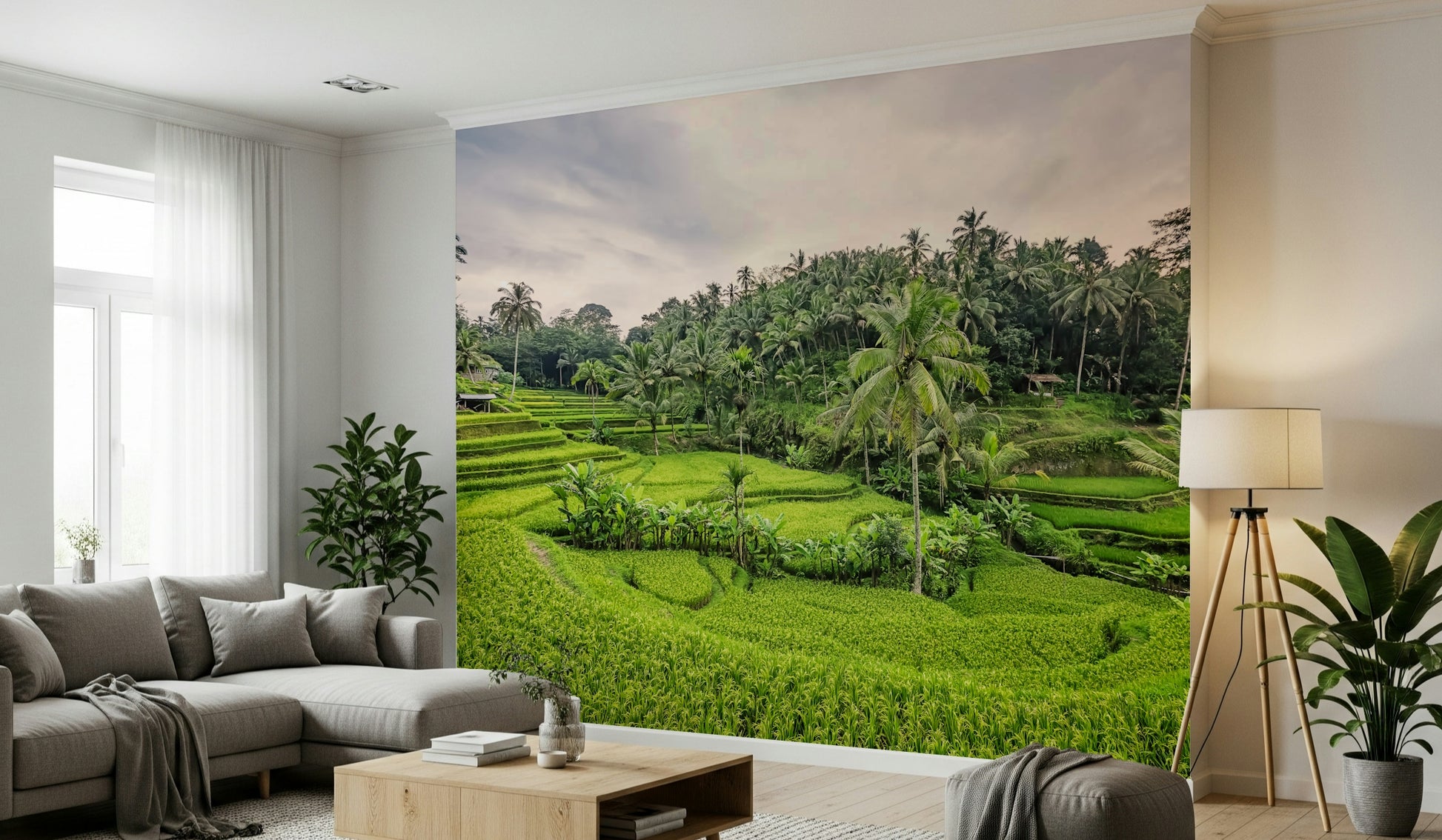 Scenic Indonesian nature Bali Rice Terraces wallpaper mural.
