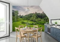 Tropical Balinese landscape mural peel and stick wallpaper.